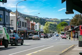 Business Development Capacity Assessment for Dunedin City