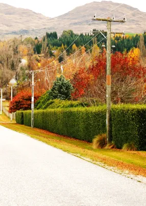 Default Price-quality paths for Electricity Distribution Businesses