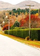 Default Price-quality paths for Electricity Distribution Businesses